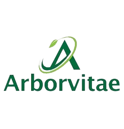 Arborvitae